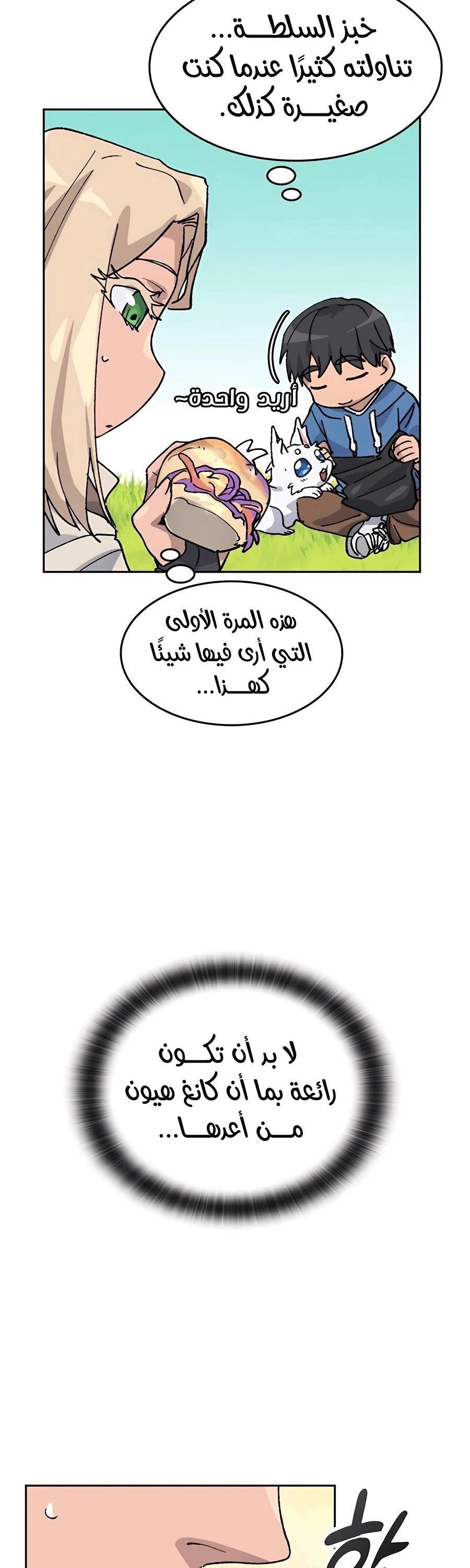 الصفحة 41