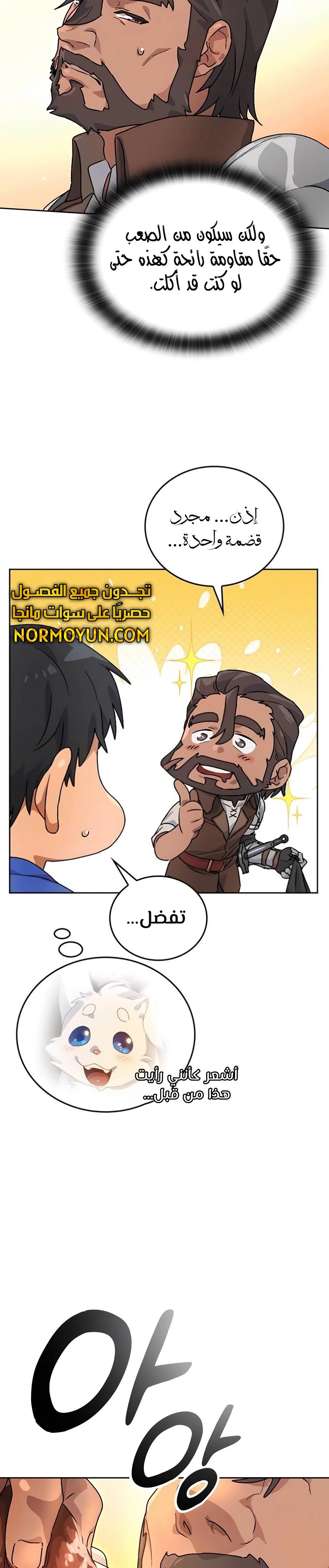 الصفحة 17
