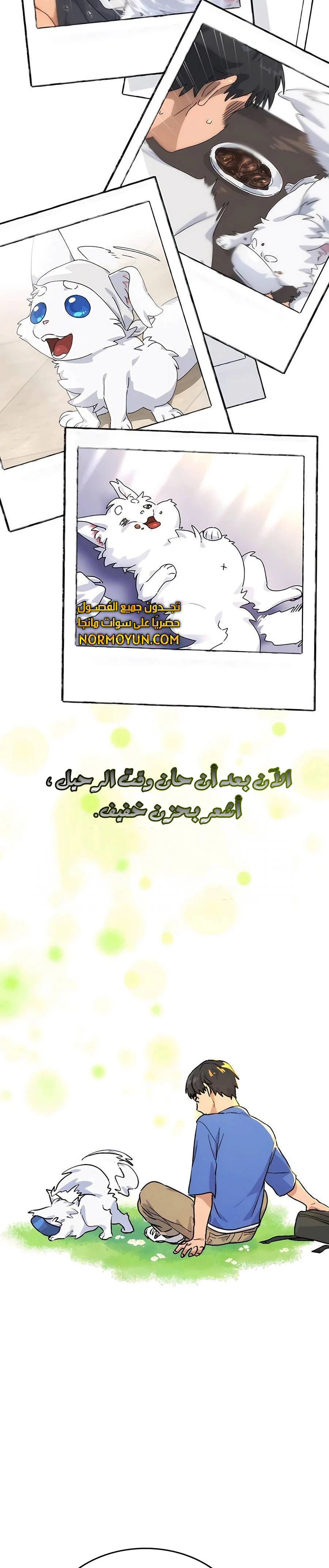 الصفحة 31