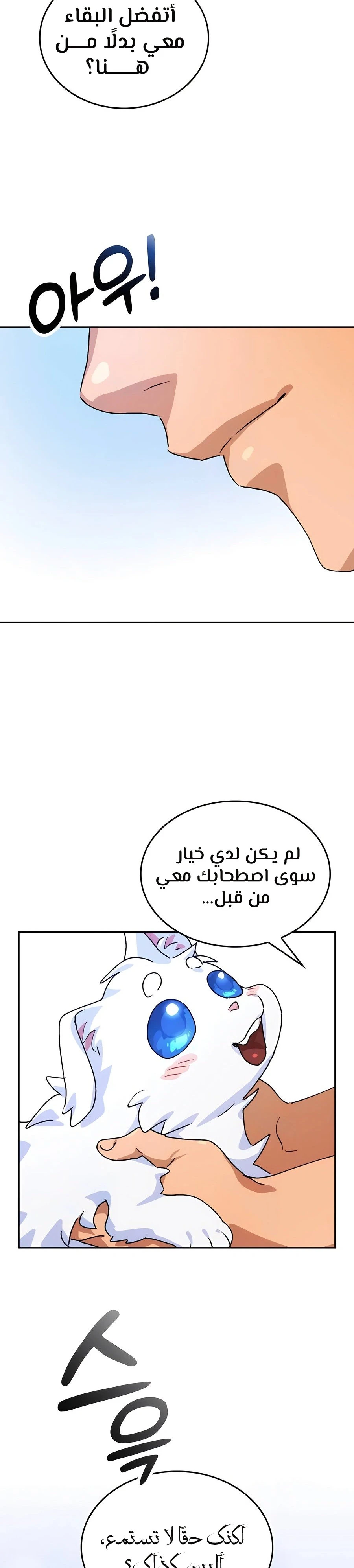 الصفحة 41