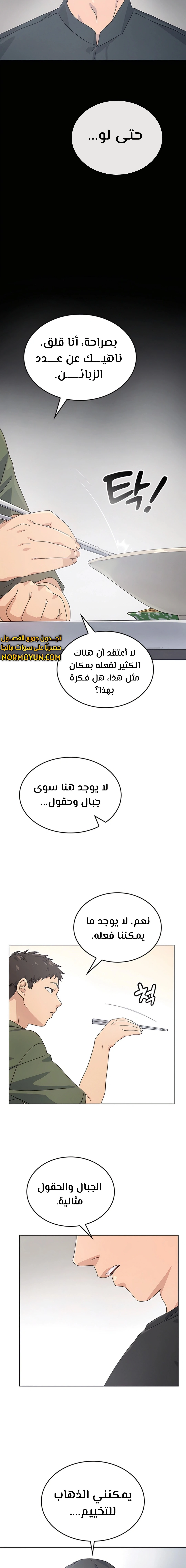 الصفحة 13