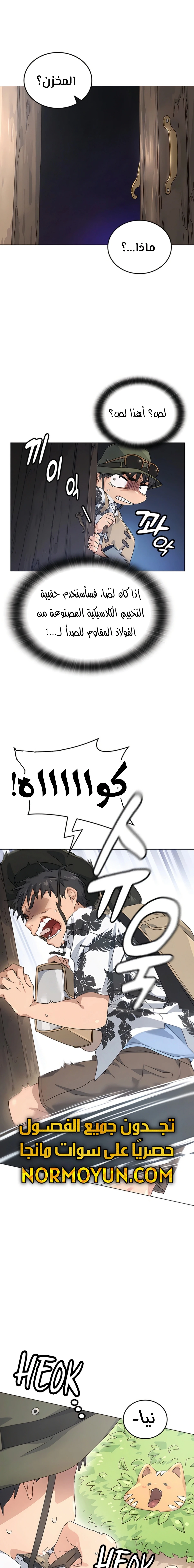 الصفحة 17