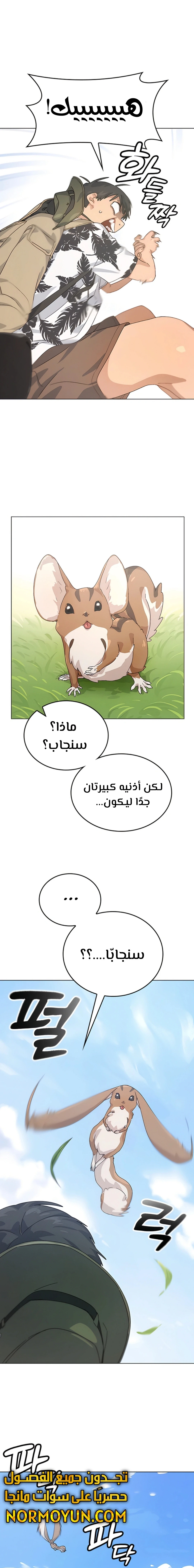 الصفحة 23