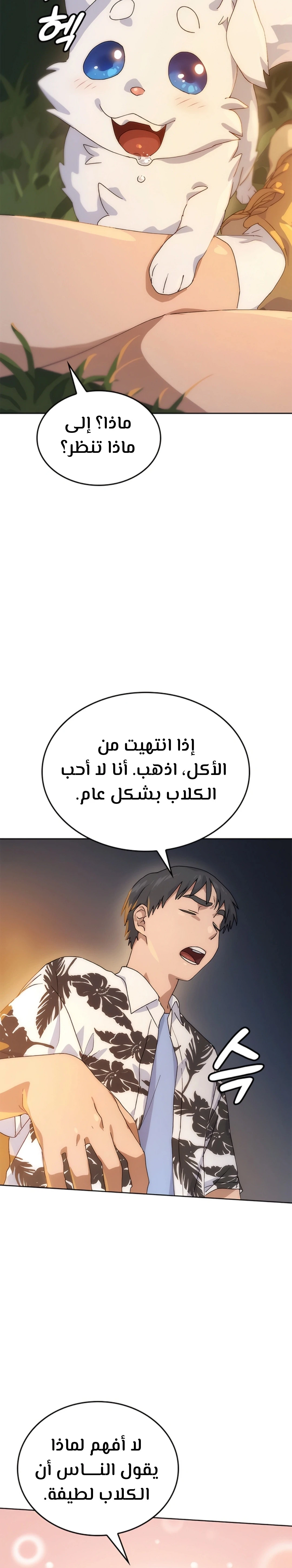الصفحة 38