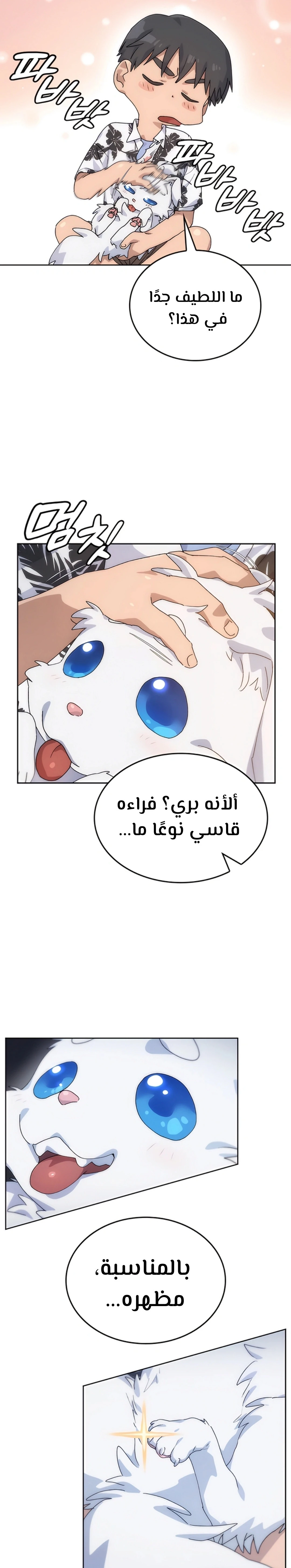 الصفحة 39