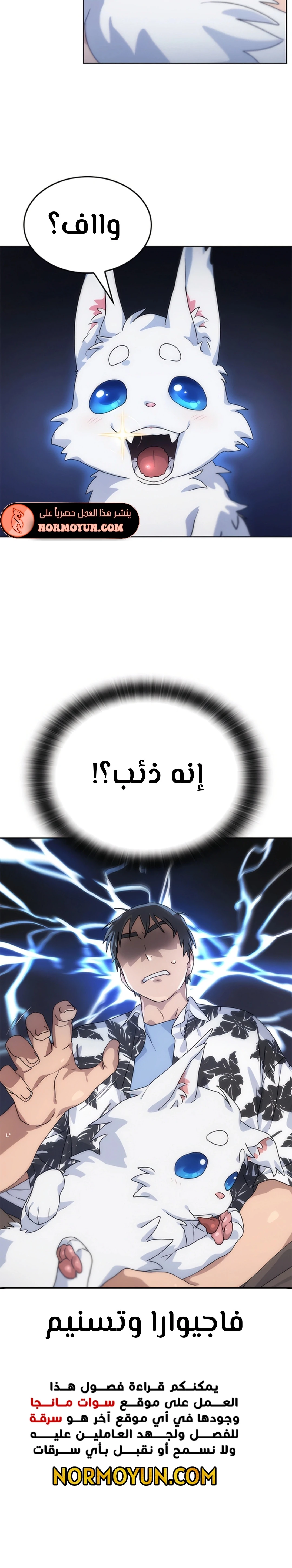 الصفحة 40