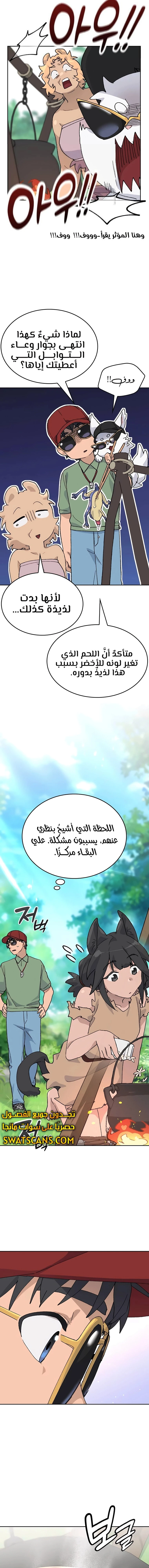 الصفحة 13