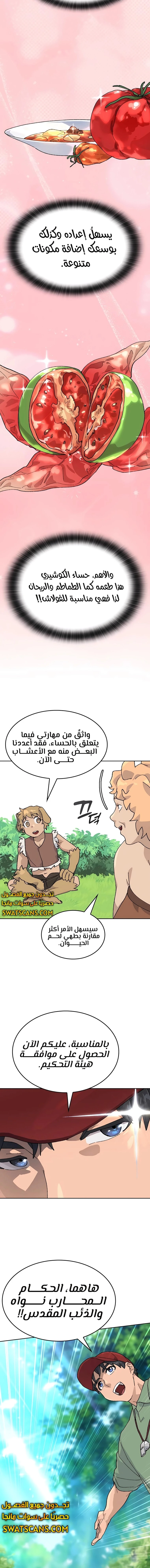 الصفحة 17