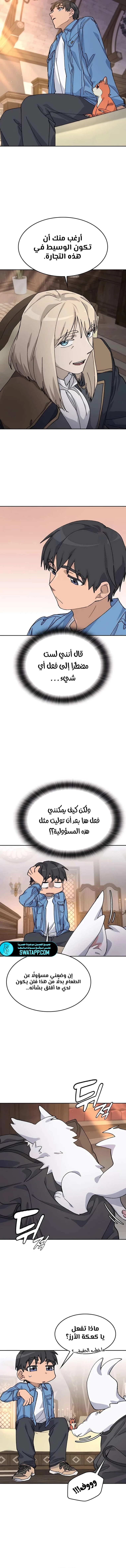الصفحة 13