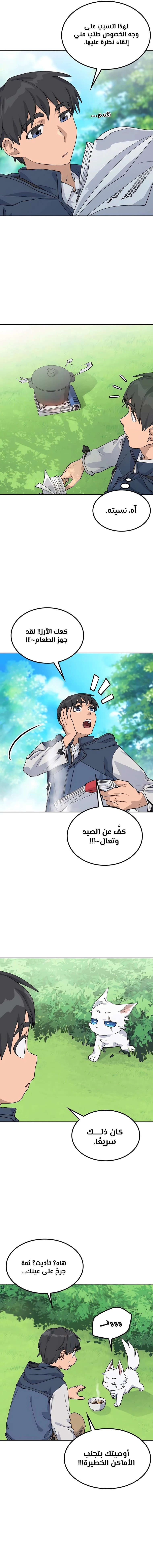 الصفحة 13