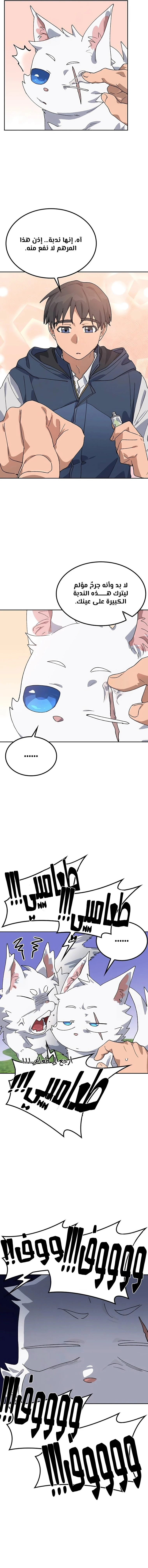 الصفحة 3