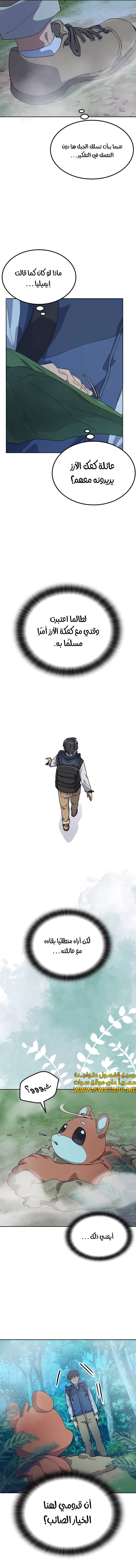 الصفحة 11
