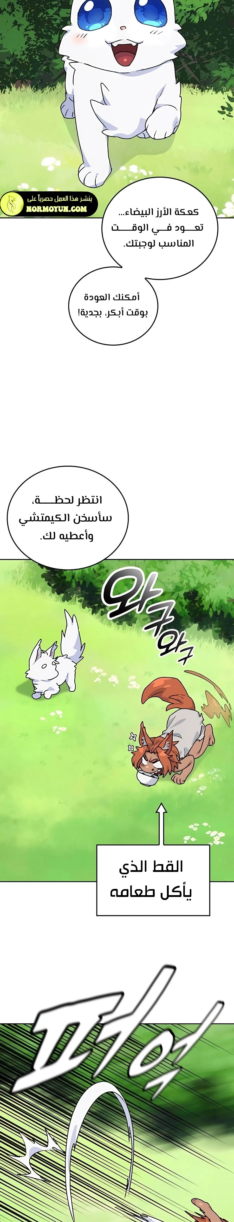 الصفحة 16