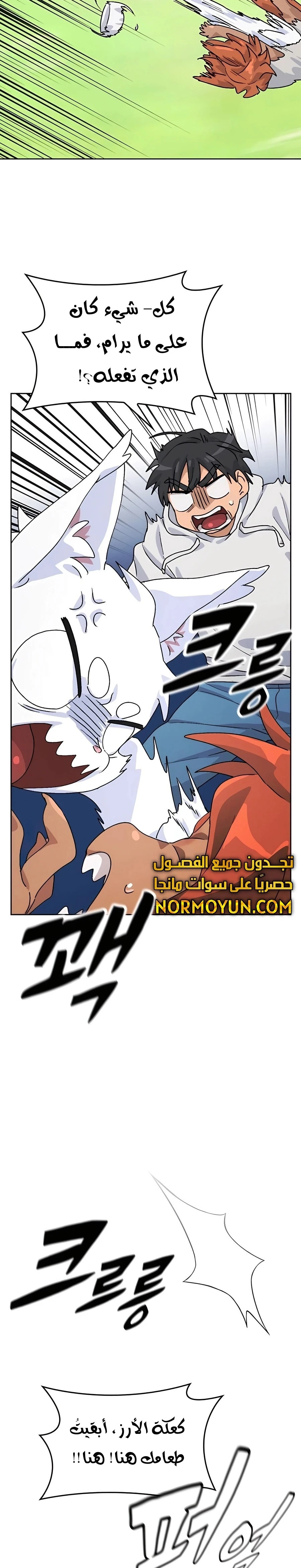 الصفحة 17