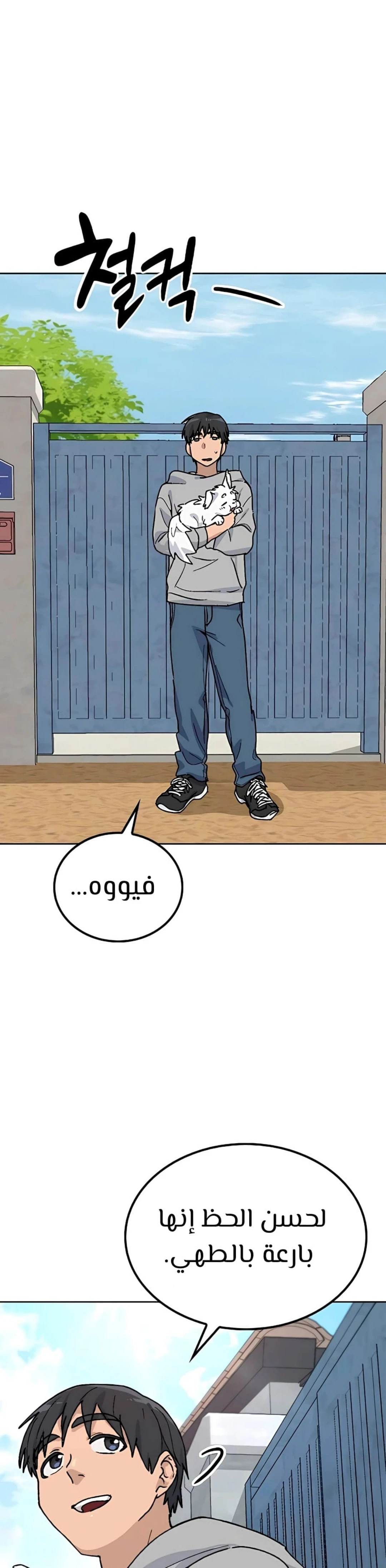 الصفحة 41