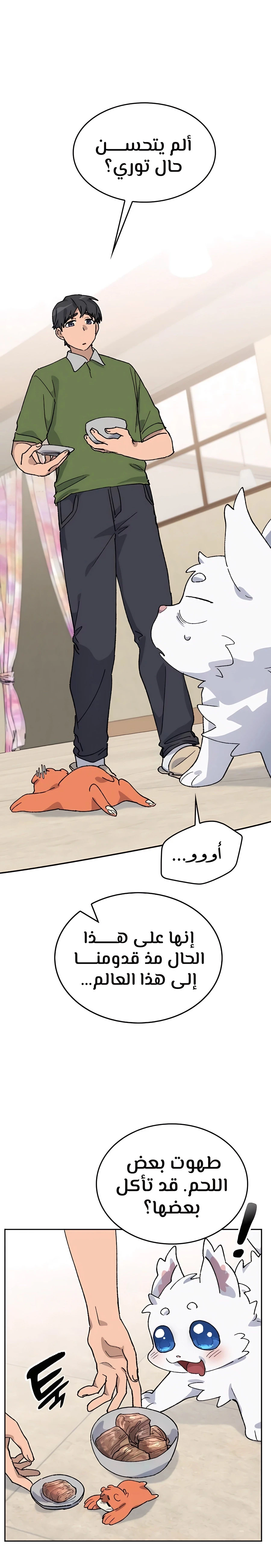 الصفحة 5