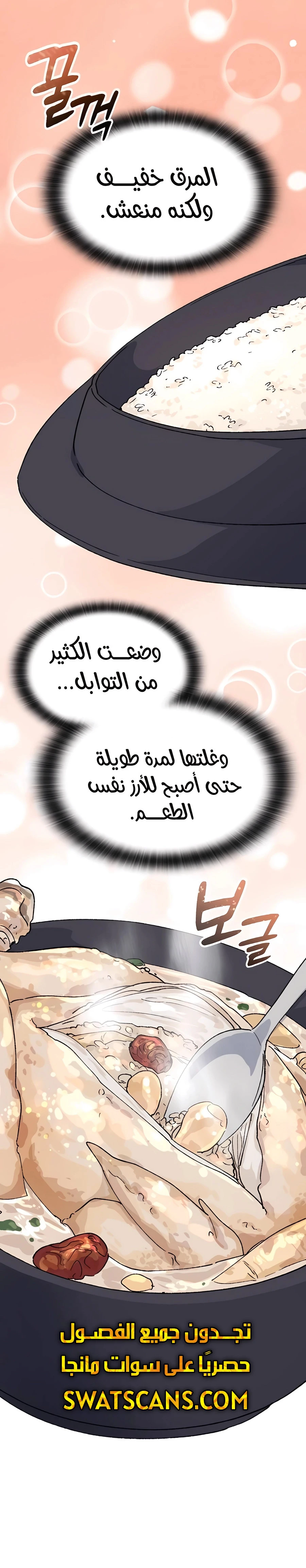 الصفحة 27
