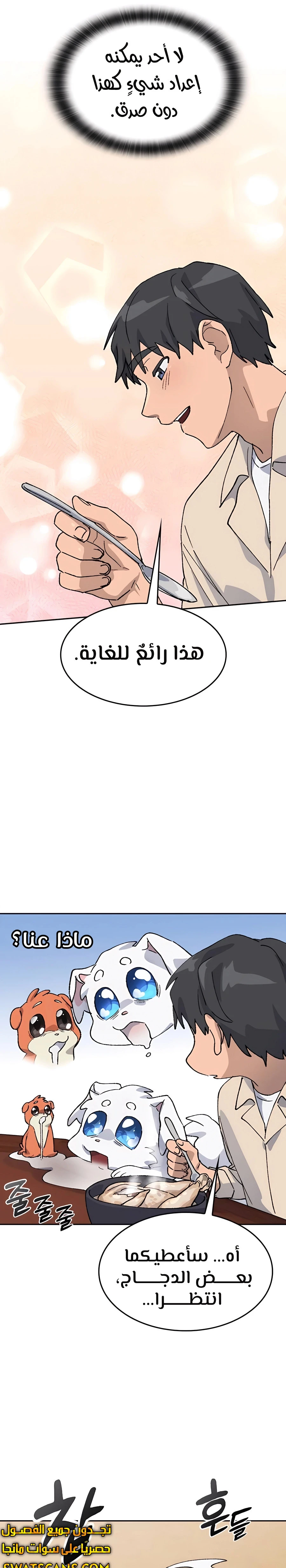 الصفحة 28
