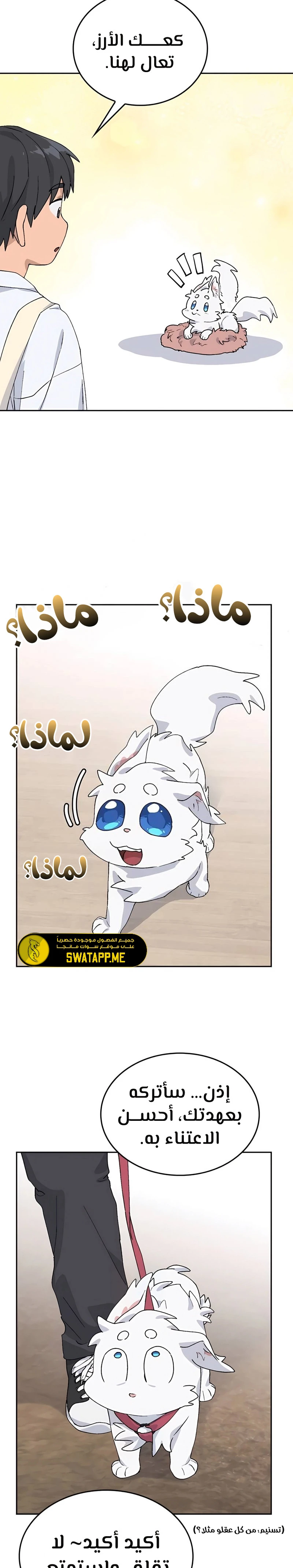 الصفحة 5