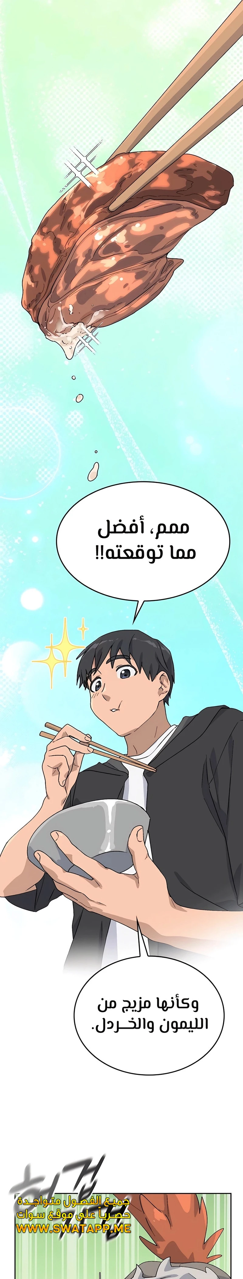 الصفحة 29