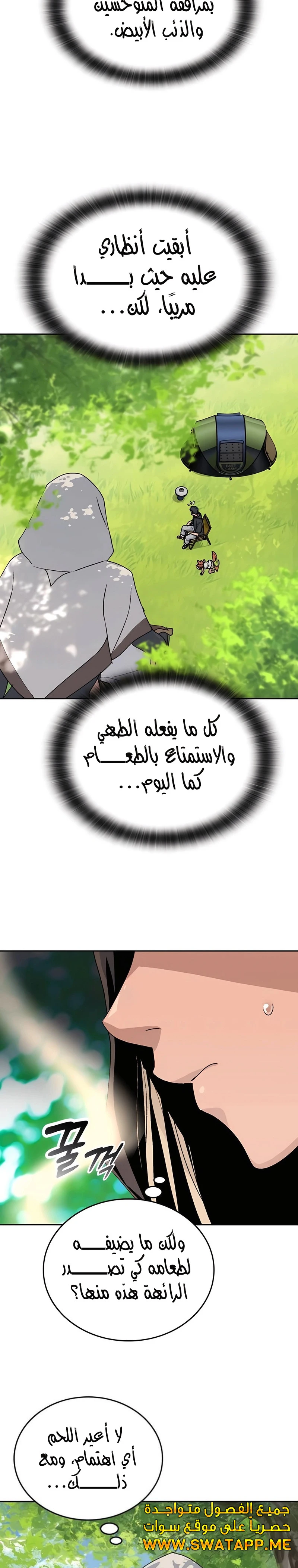 الصفحة 31