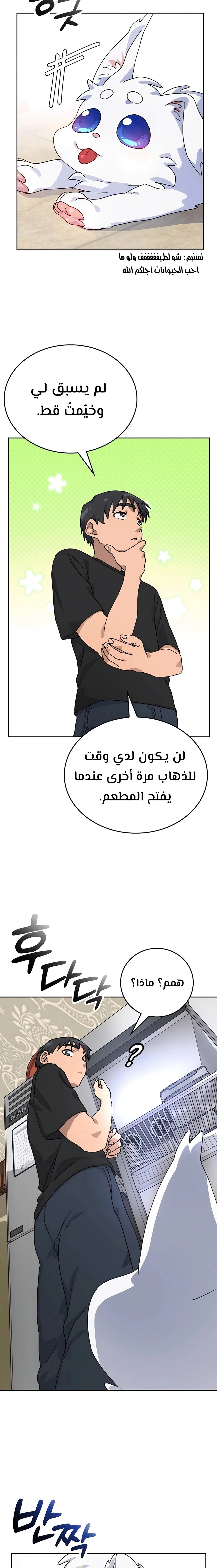 الصفحة 17