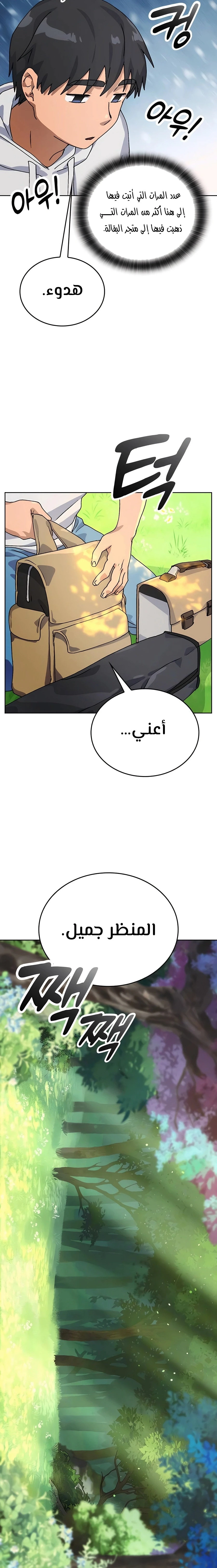الصفحة 19