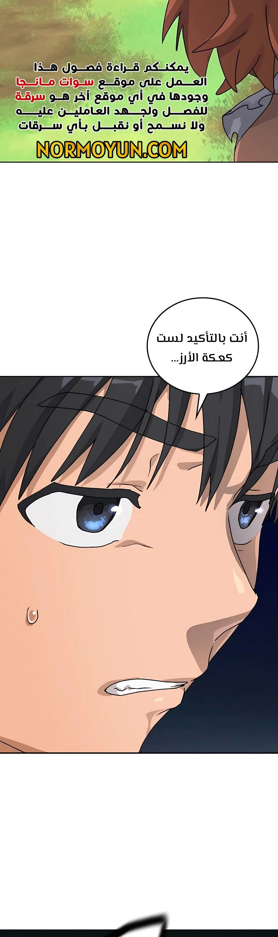 الصفحة 33