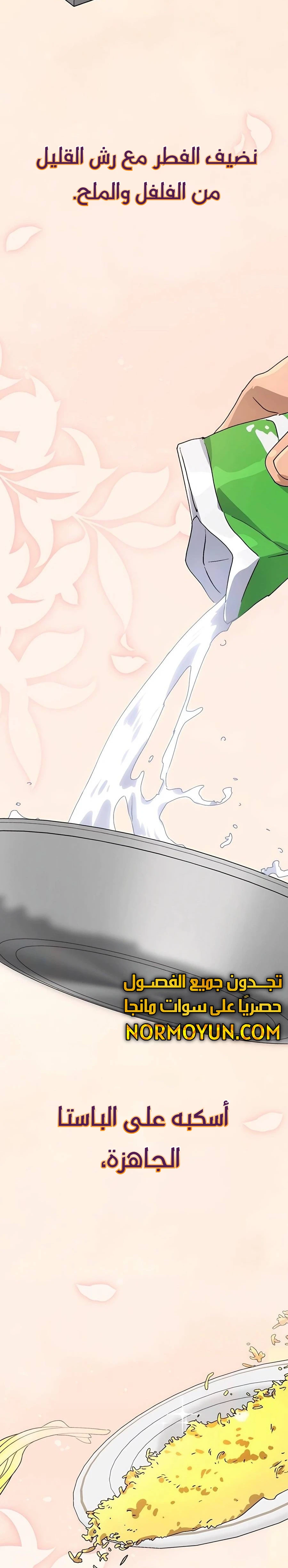 الصفحة 17