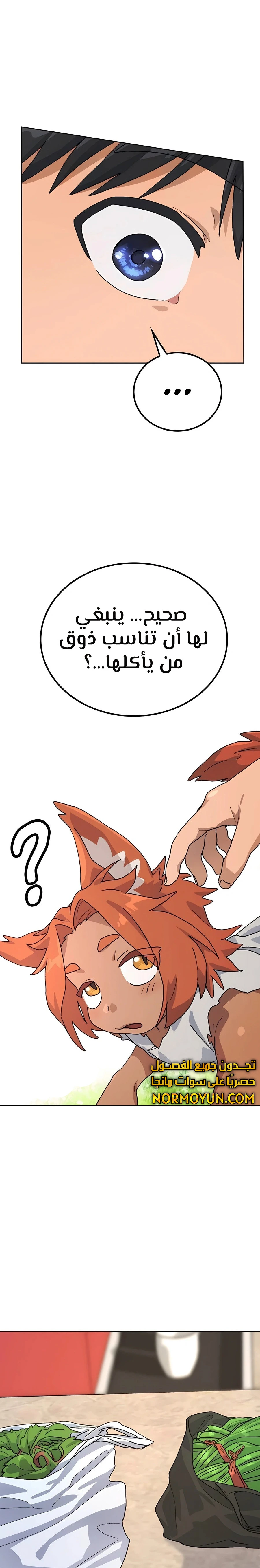 الصفحة 25