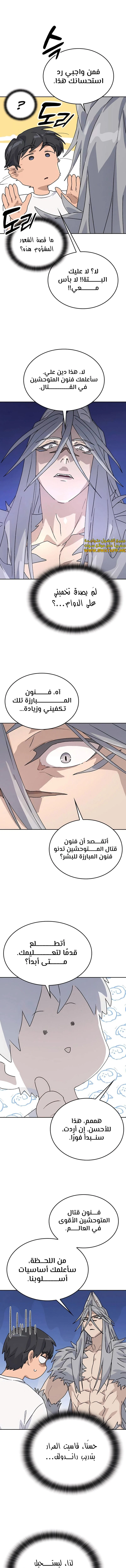 الصفحة 17