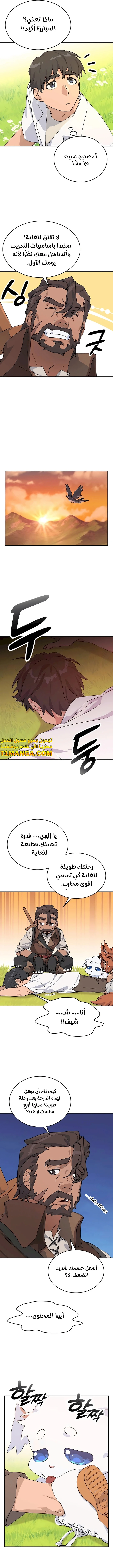 الصفحة 11