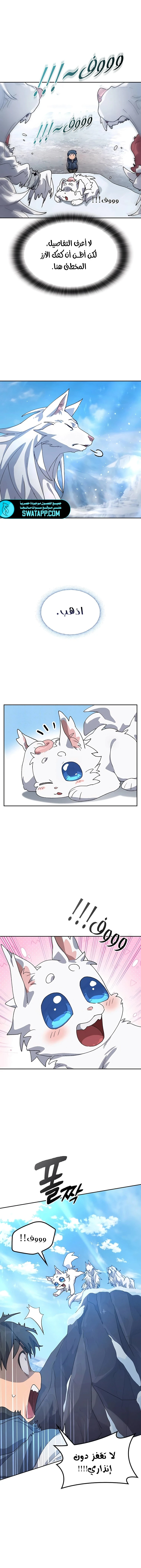 الصفحة 11