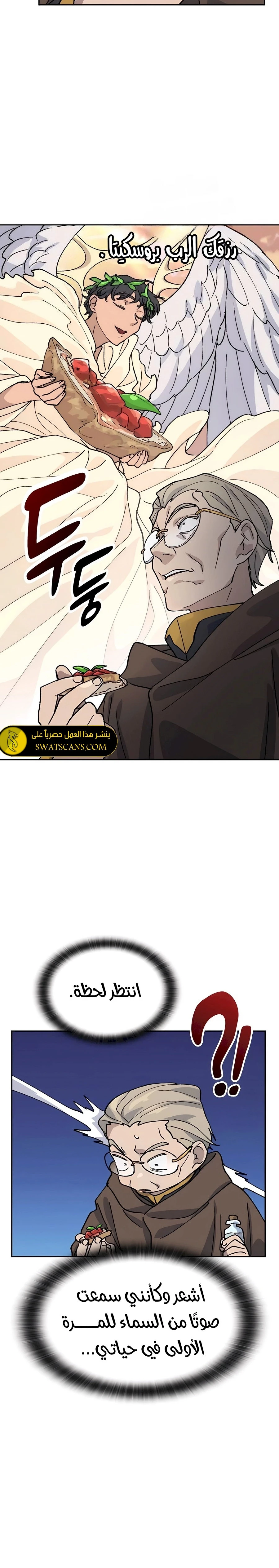 الصفحة 19