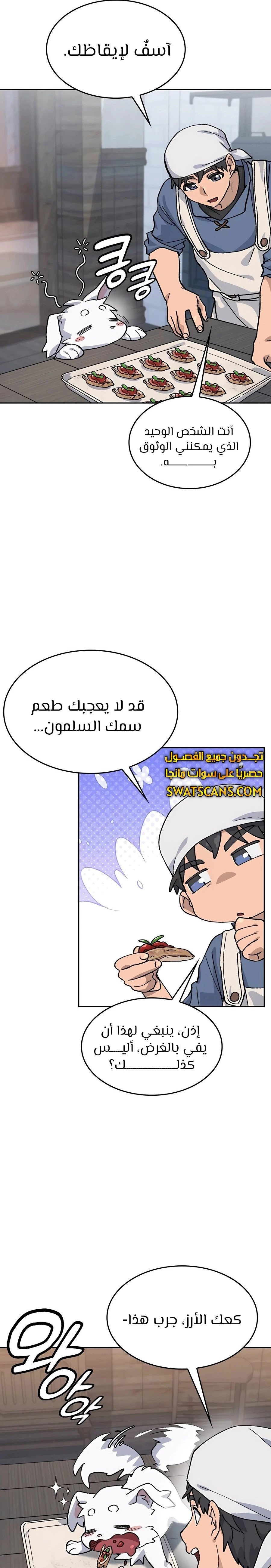 الصفحة 21
