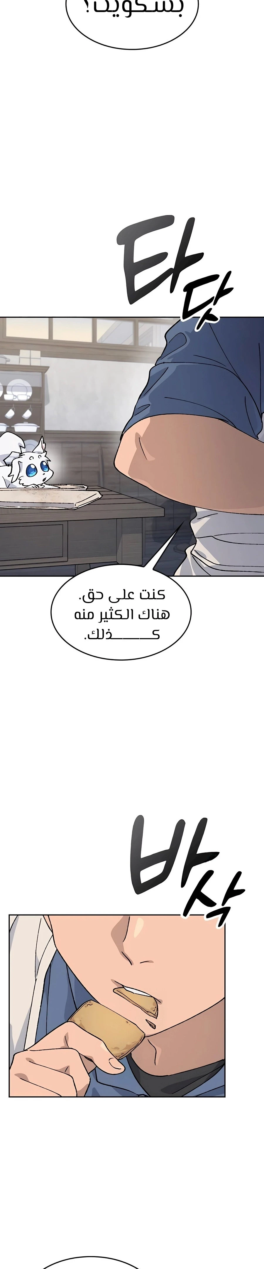 الصفحة 28