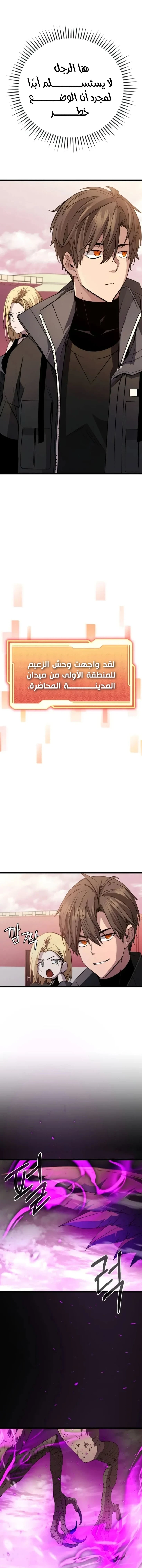 الصفحة 17