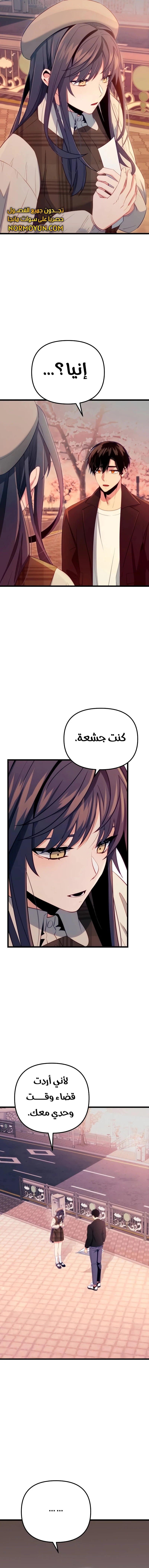 الصفحة 13