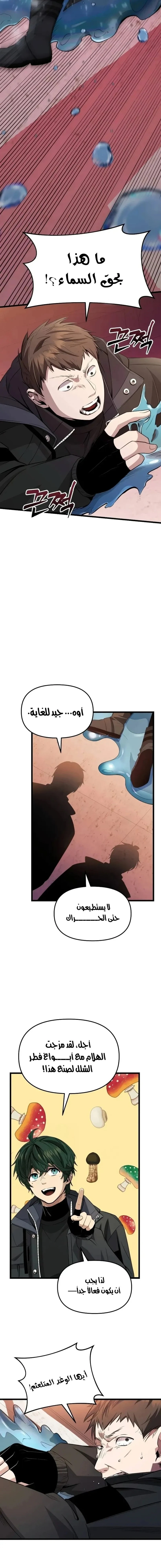 الصفحة 14