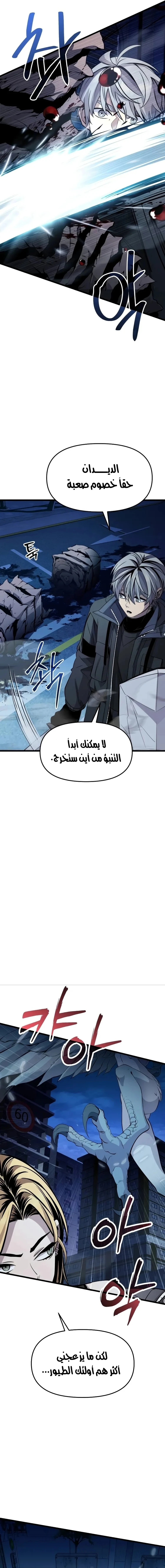الصفحة 13