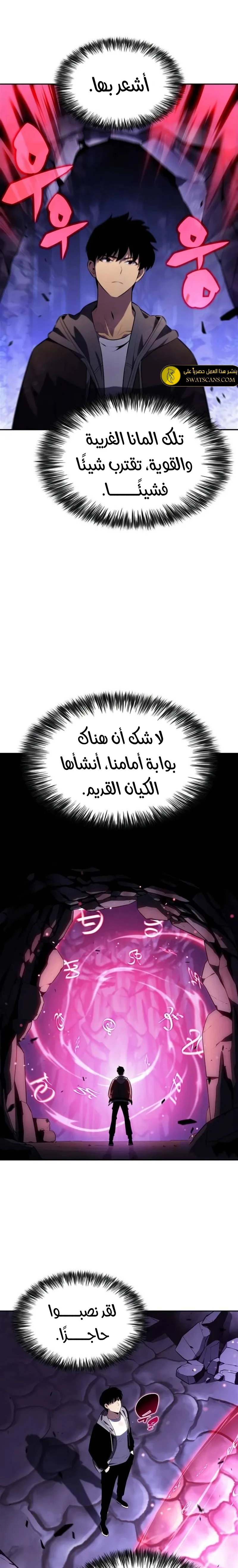 الصفحة 17