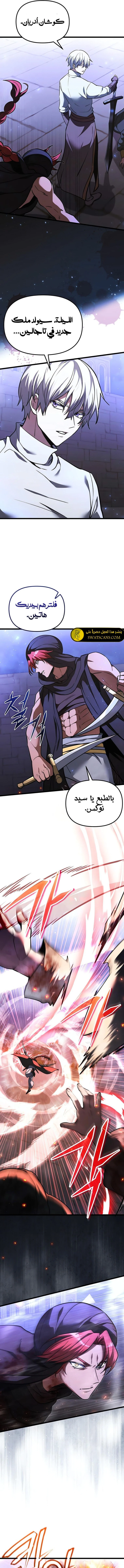 الصفحة 13