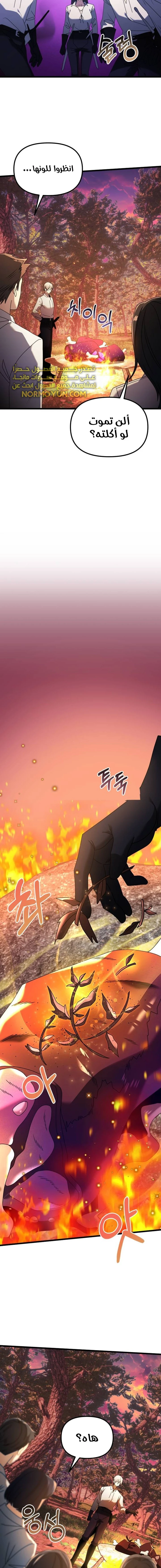 الصفحة 25
