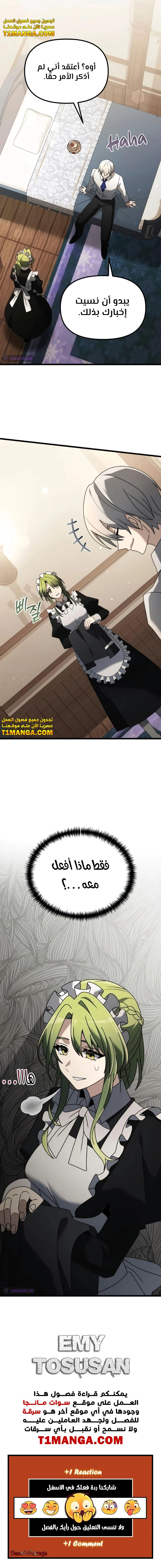 الصفحة 17