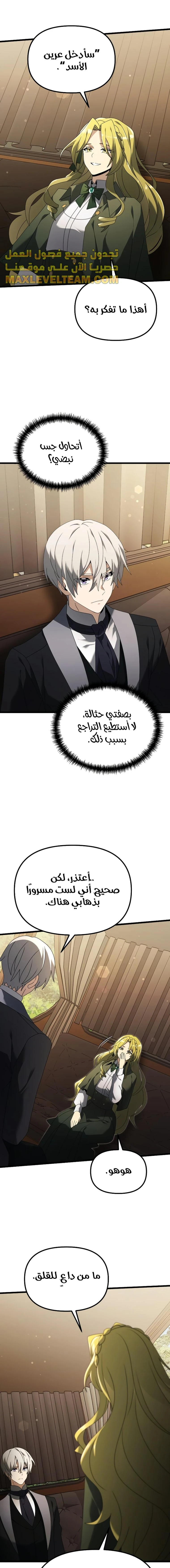 الصفحة 17
