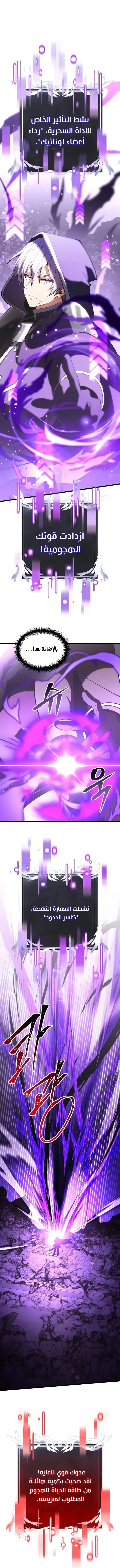 الصفحة 13