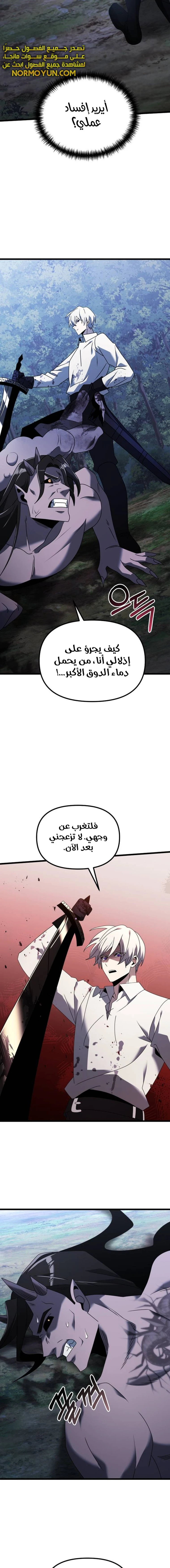 الصفحة 17