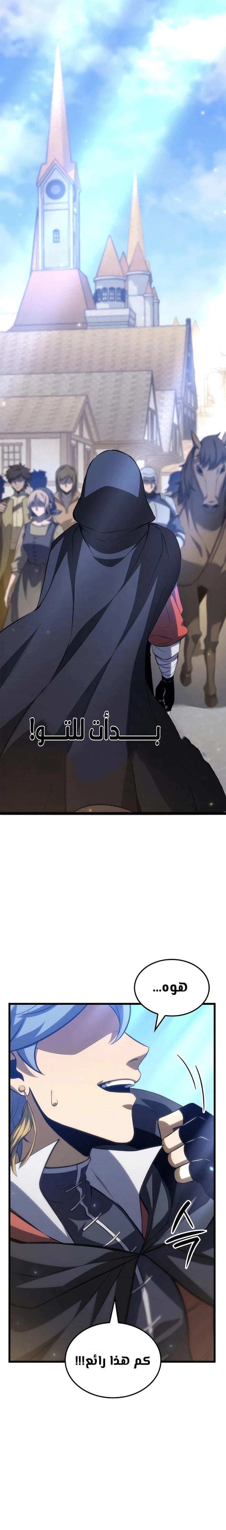 الصفحة 29