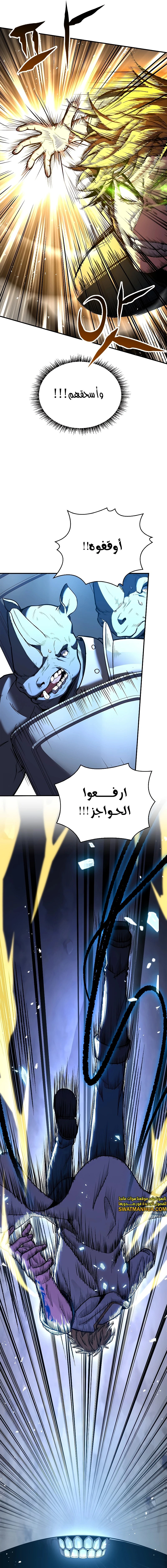 الصفحة 17