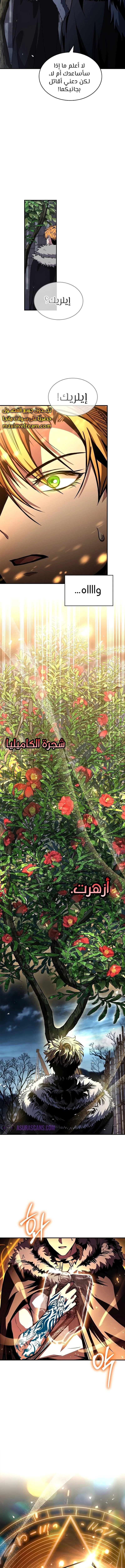 الصفحة 17